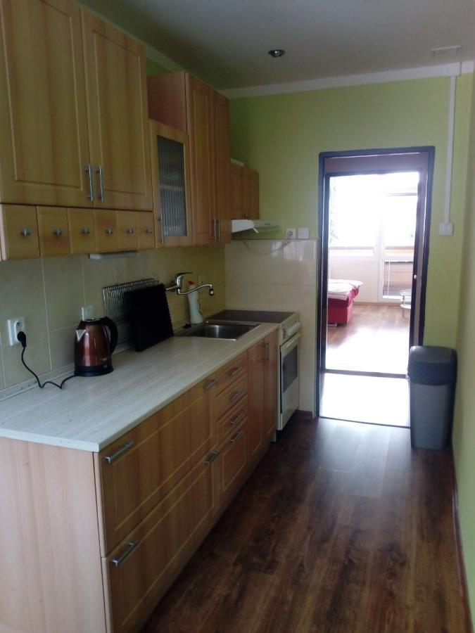 Apartmán Špičák Jiretin pod Bukovou Exteriér fotografie